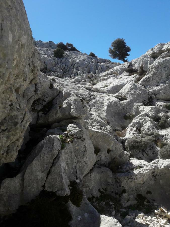 Appartamento Mary Oliena Kültér fotó